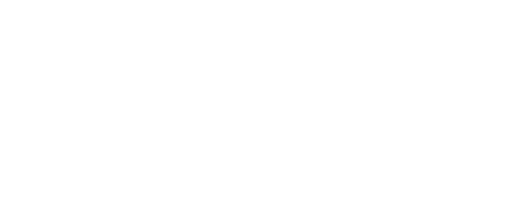 METZ logo